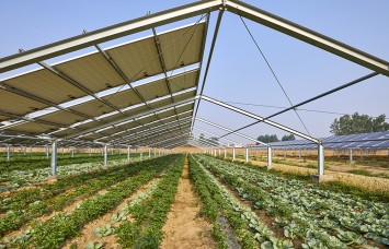 ZM coating for agri-PV mounting systems