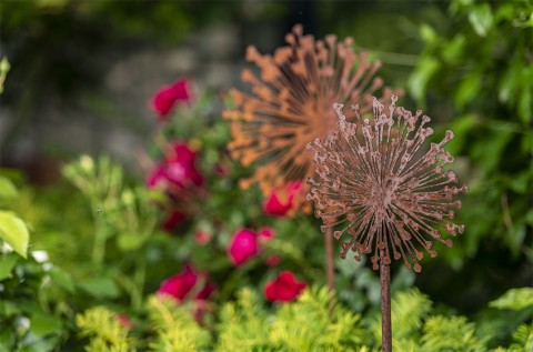 patinax im Garten patinax im Garten