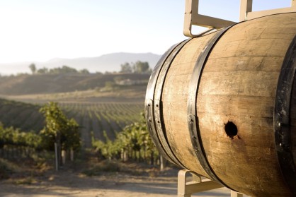 Fassringe aus korrosionsfreiem Stahl