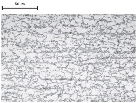 Microstructural contrasting through etching with nital. Microstructural contrasting through etching with nital.