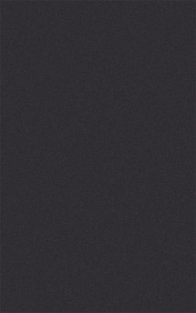 Farbtöne pladur® Deluxe: Black 609