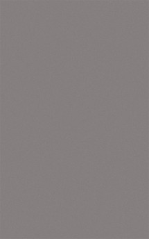 pladur® Deluxe colors: Grey 107