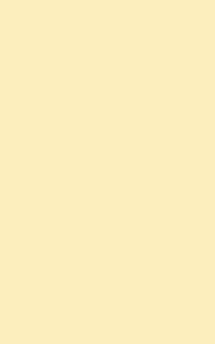 Farbtöne pladur® Deluxe: Yellow 101