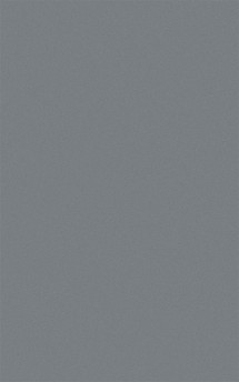 pladur® Deluxe colors, Laukien 'bauhausstil naturmatt': Grey 20