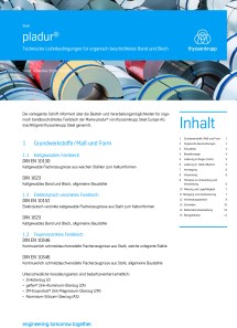 pladur® − Technische Lieferbedingungen 