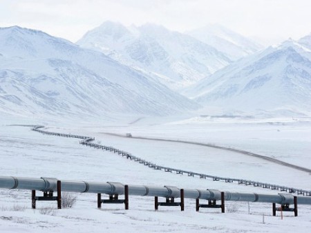 Steels for welded line pipes for the conveyance of water, oil and gas as well as for the distribution of hydrogen and carbon dioxide Steels for welded line pipes for the conveyance of water, oil and gas as well as for the distribution of hydrogen and carbon dioxide