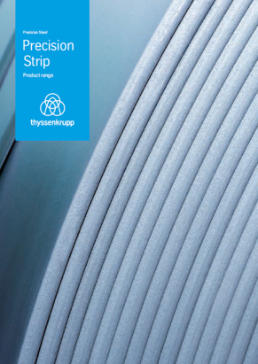 Precision strip – Product range Precision strip – Product range