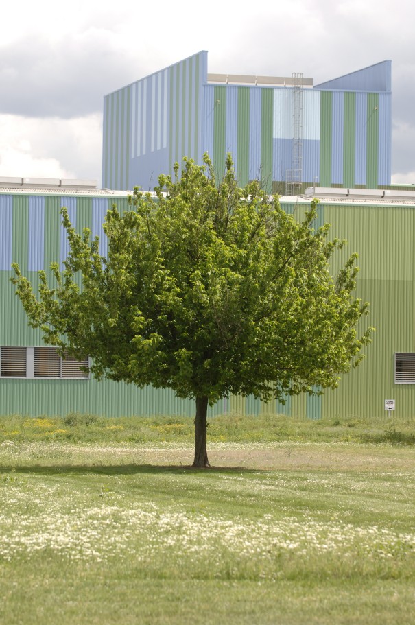 Environmental management Environmental management