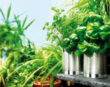 Nachhaltigkeit Nachhaltigkeit