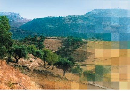 Entwicklung der besonderen Art: Umweltschutz fürs Auge